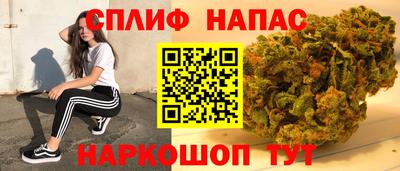 индика Ипатово