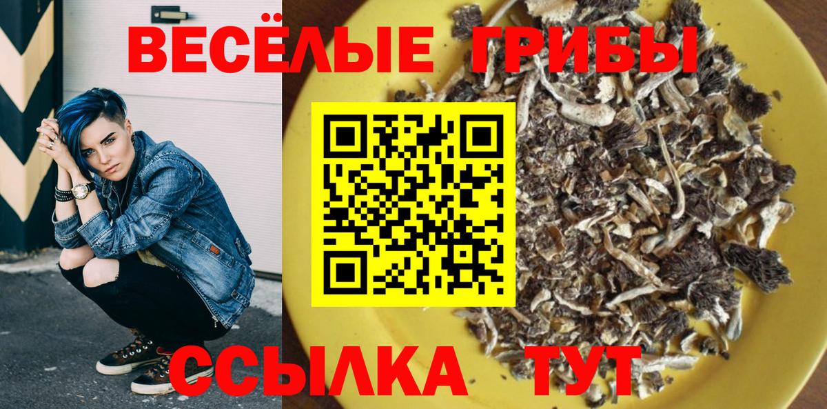 Лянтор  Галлюциногенные грибы Magic Shrooms  Вход с VPN 