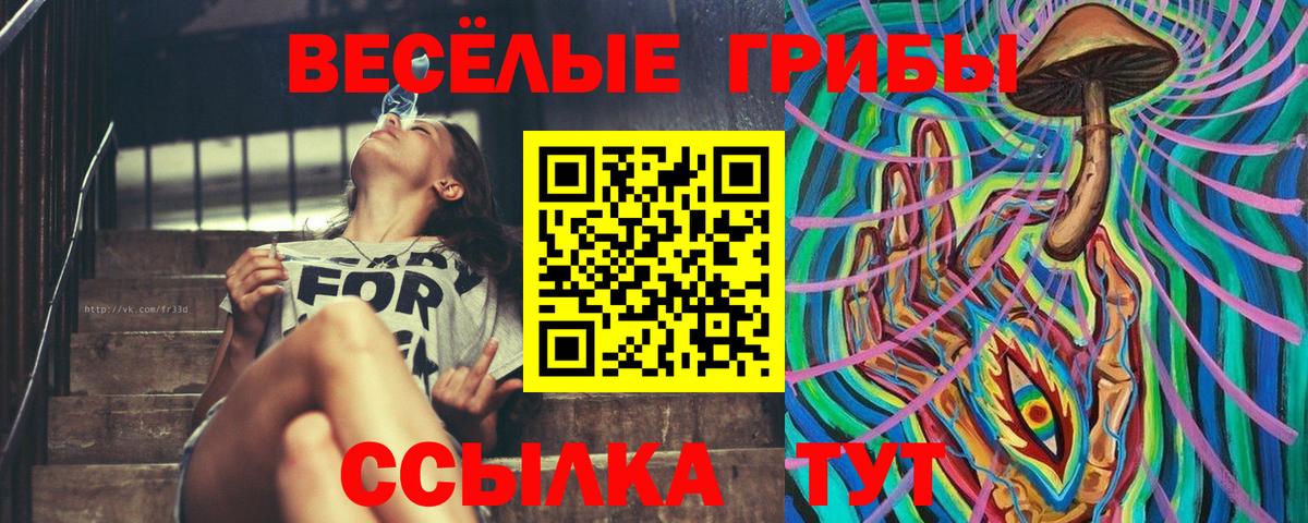 Псилоцибиновые грибы прущие грибы Лянтор
